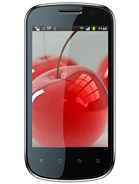 Best available price of Celkon A19 in Guinea