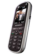 Best available price of Motorola WX288 in Guinea
