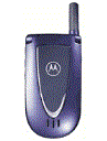 Best available price of Motorola V66i in Guinea